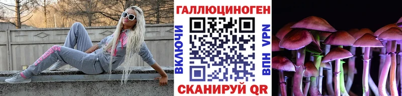 Галлюциногенные грибы Psilocybe  Пучеж 